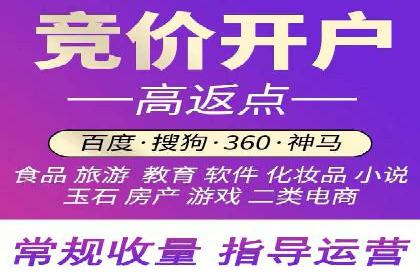 竞价代运营的案例研究：如何精准投放广告并获得回报
